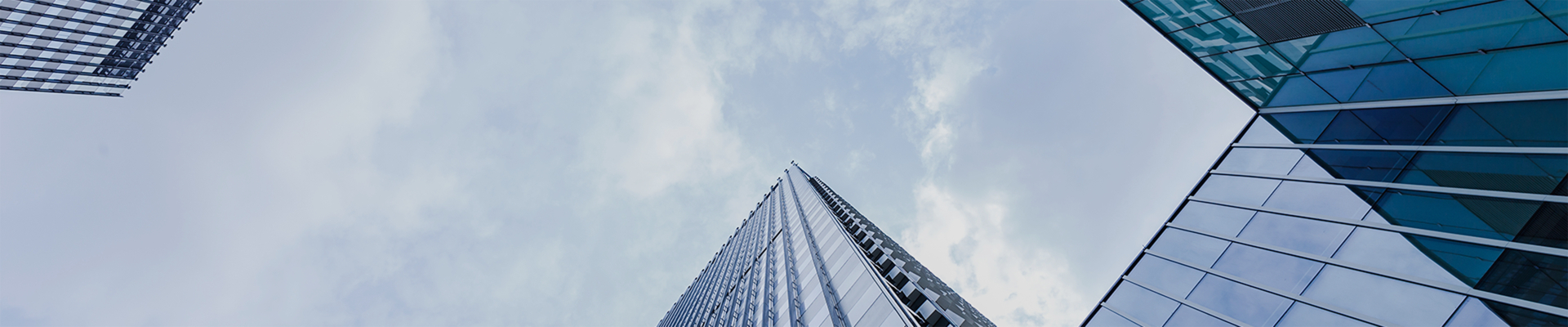 鲁联集团关于公司